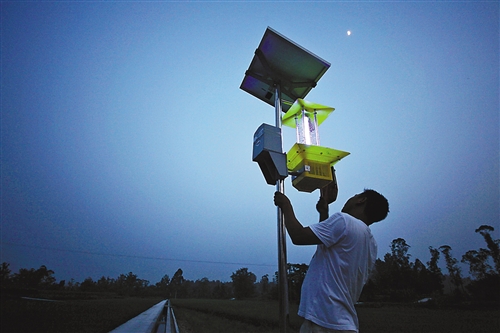 如何科學(xué)有效的使用太陽(yáng)能殺蟲(chóng)燈？