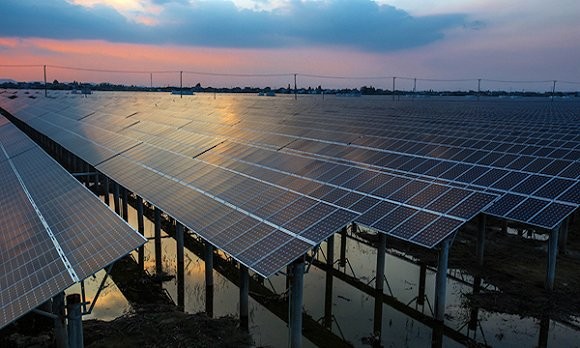 【圍觀】如果早點了解漁光互補 3萬斤魚就不會被燙死